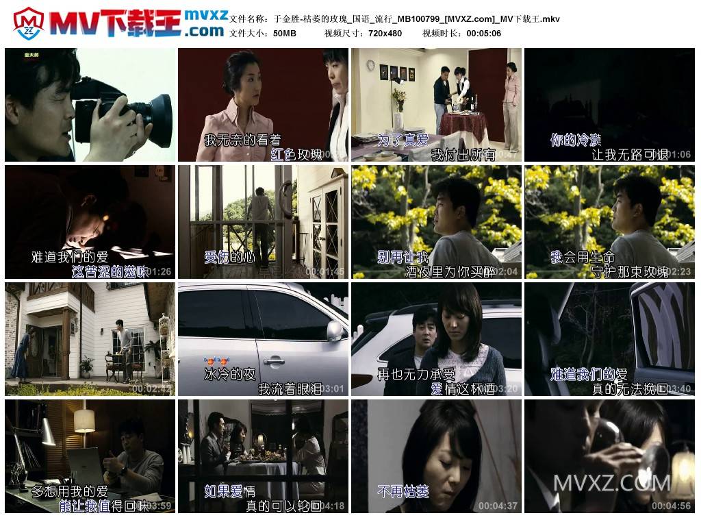 于金胜-枯萎的玫瑰_国语_流行_MB100799